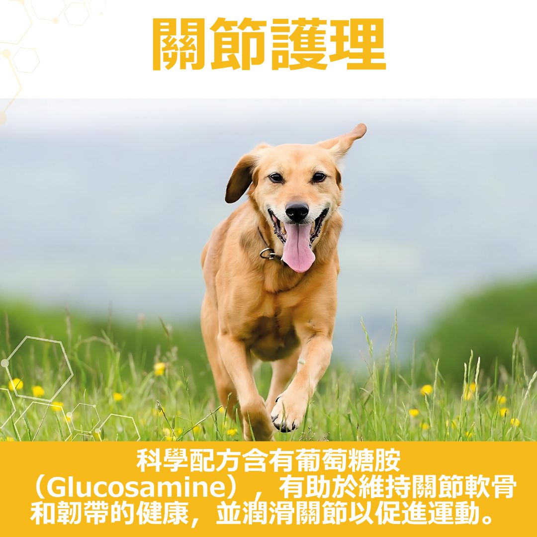 Vetzyme 犬食用關節補品90粒裝(含葡萄糖胺及Omega 3脂肪酸之養份EPA 及 DHA)