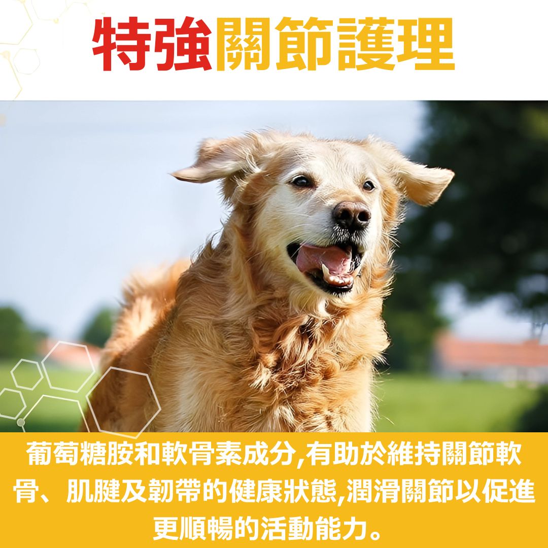Vetzyme 犬用特強關節補品90粒裝 | 強力成份 (葡萄糖胺;軟骨素;MSM;奧米加3及維他命B雜)