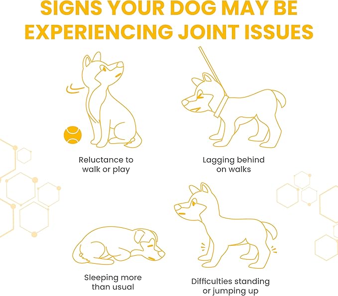 Vetzyme 犬用特強關節補品90粒裝 | 強力成份 (葡萄糖胺;軟骨素;MSM;奧米加3及維他命B雜)