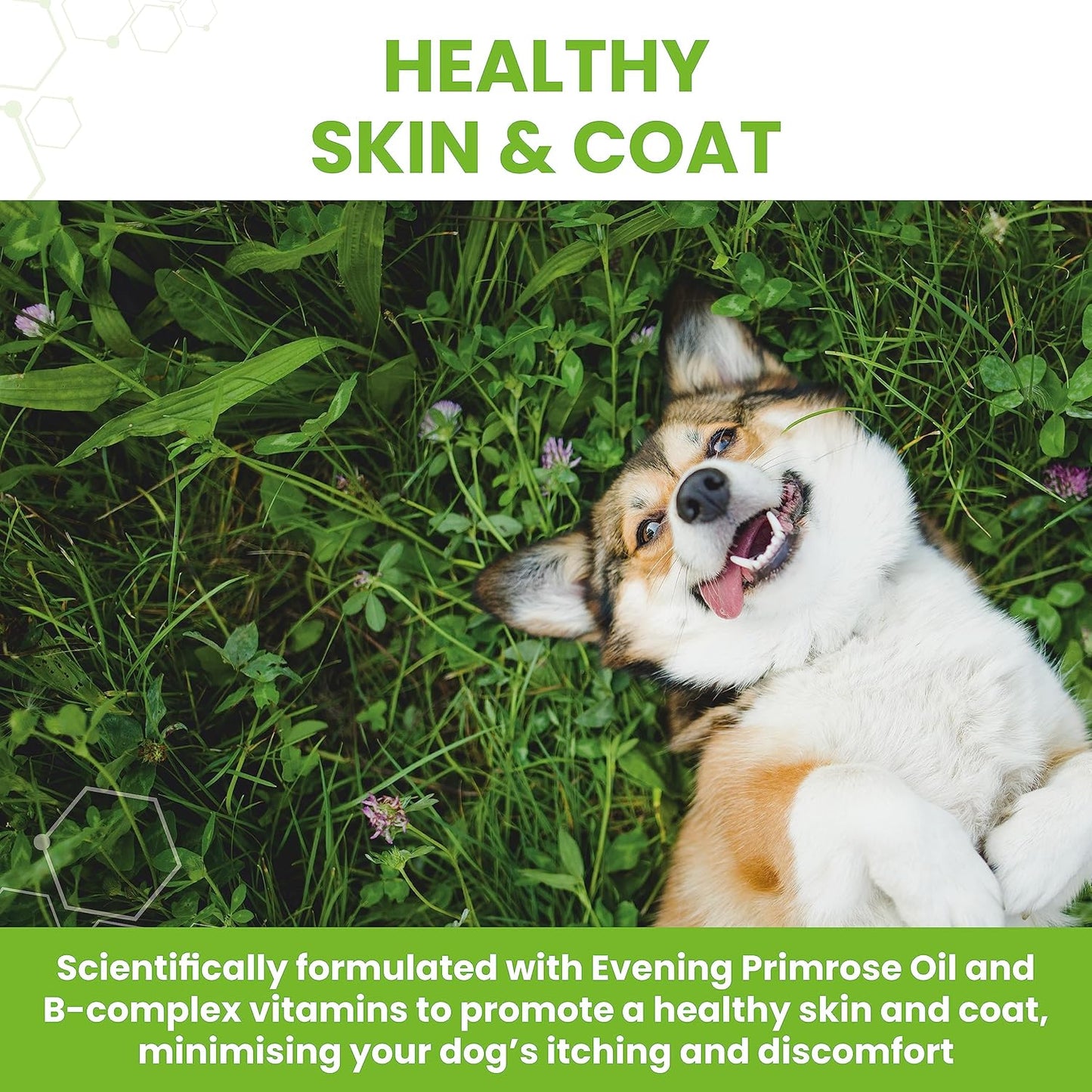 Vetzyme 犬食用乾性皮膚調節丸 30粒