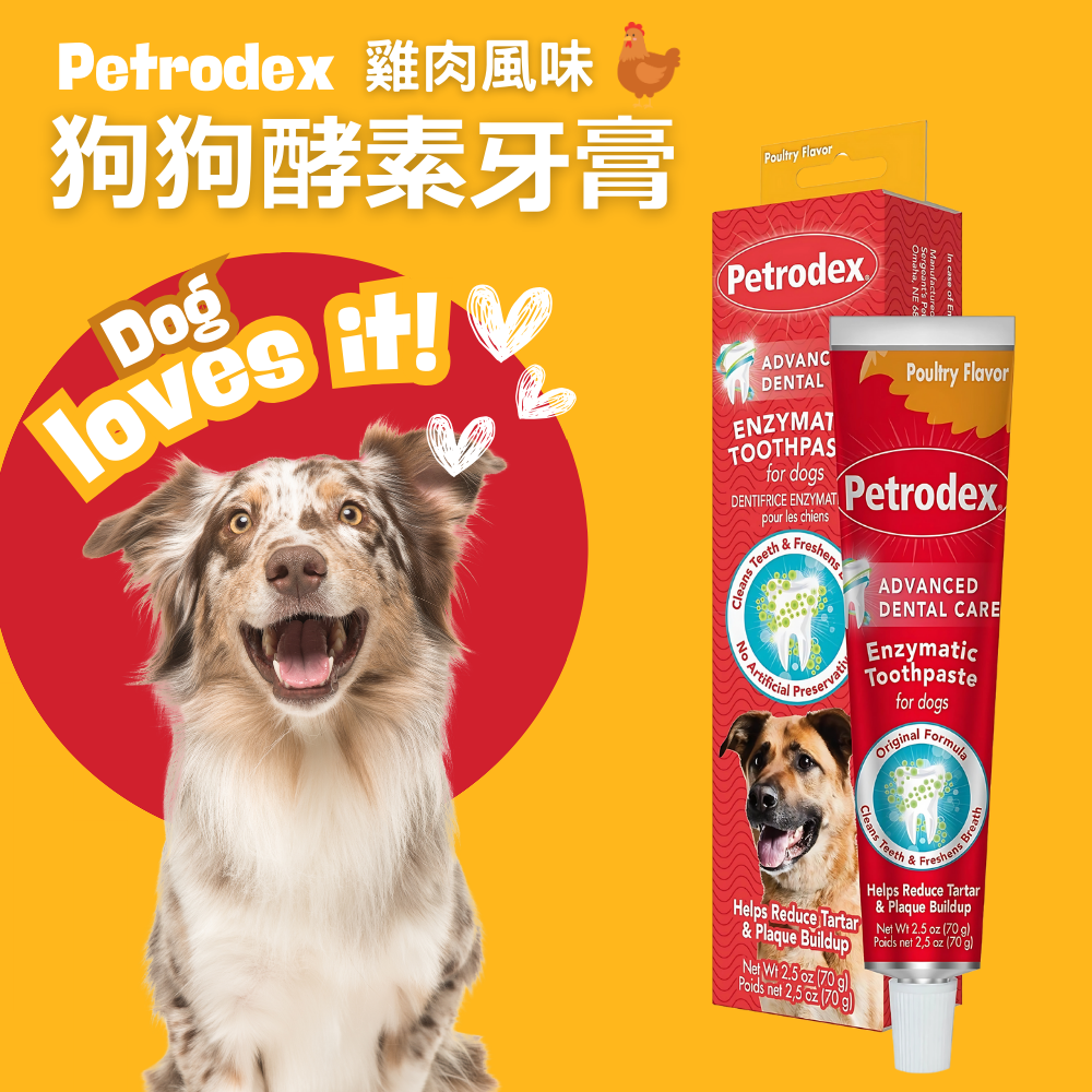 Petrodex 狗狗酵素牙膏，清潔牙齒並對抗口臭，減少牙菌斑和牙垢的形成。雞肉風味 2.5 盎司 ( 約 70.9 公克 )
