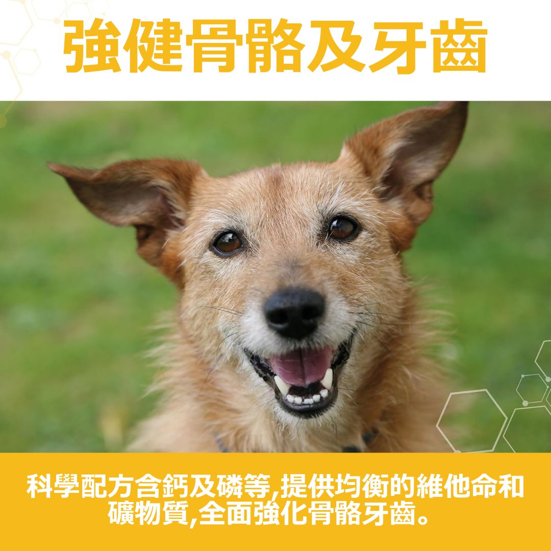 Vetzyme 鈣骨粉 150g